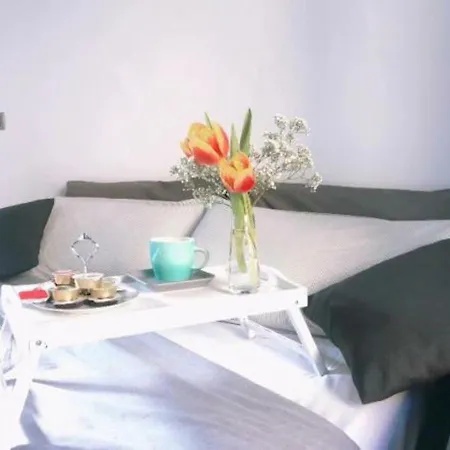 Cozy Studio - Borgo Campidoglio * Torino